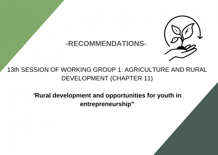 Recommendations: 13th SESSION OF WORKING GROUP 1: AGRICULTURE AND RURAL DEVELOPMENT (CHAPTER 11) – Rural development and opportunities for youth in entrepreneur